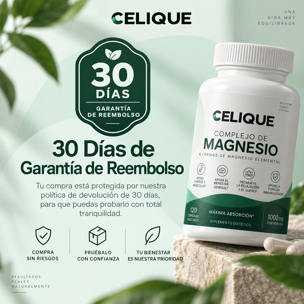 Magnesio Complejo