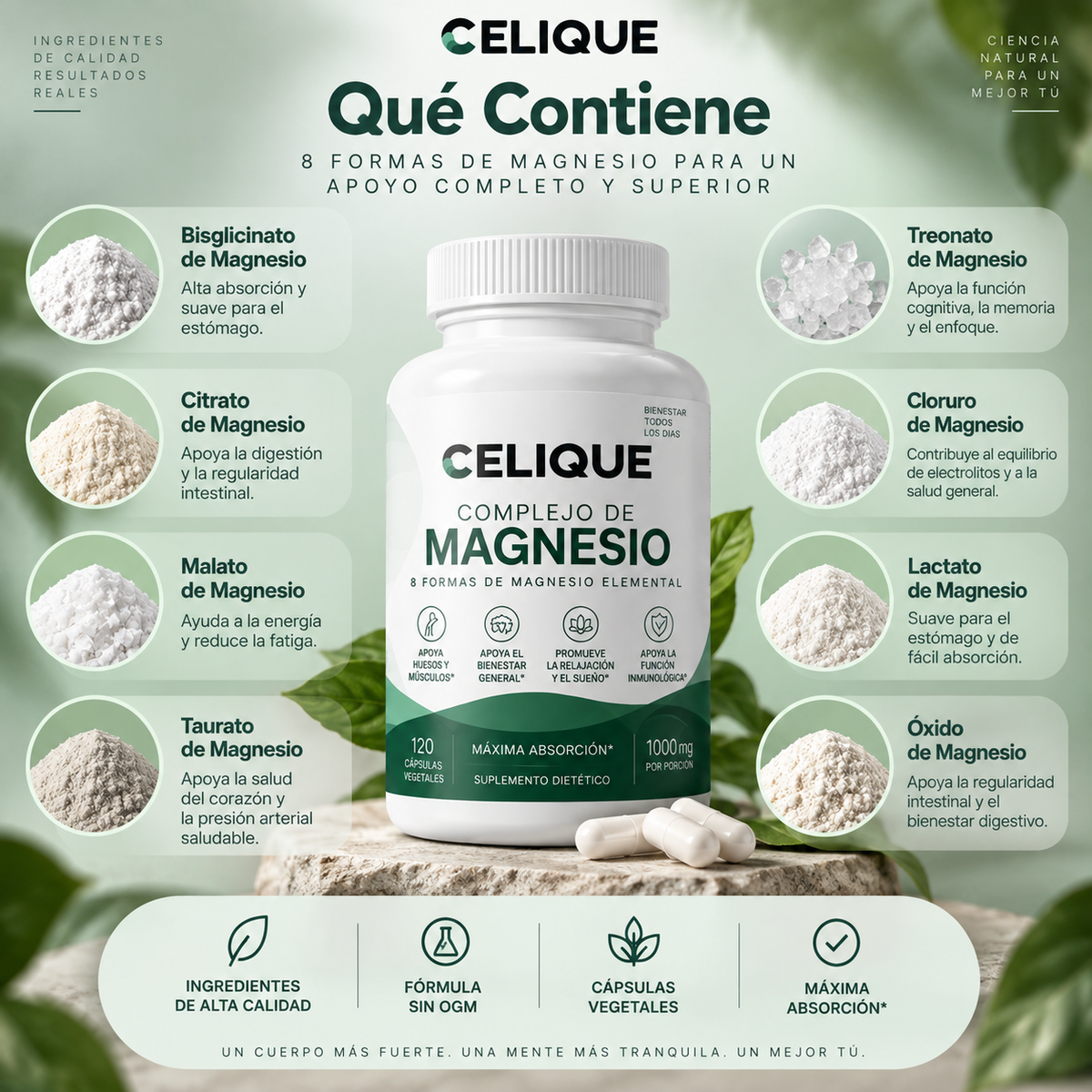 Magnesio Complejo