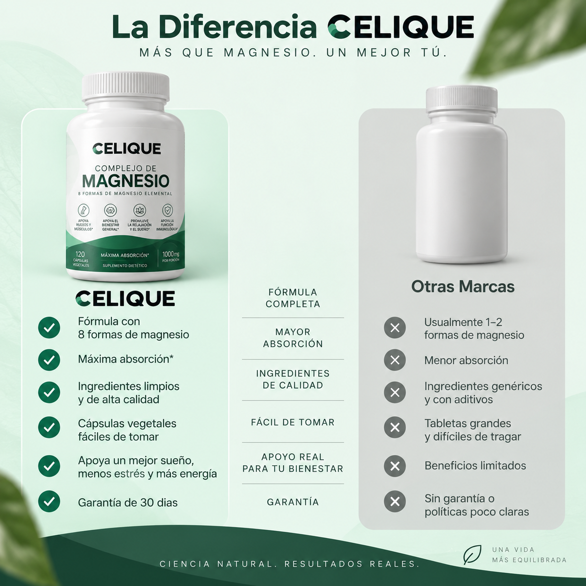 Magnesio Complejo